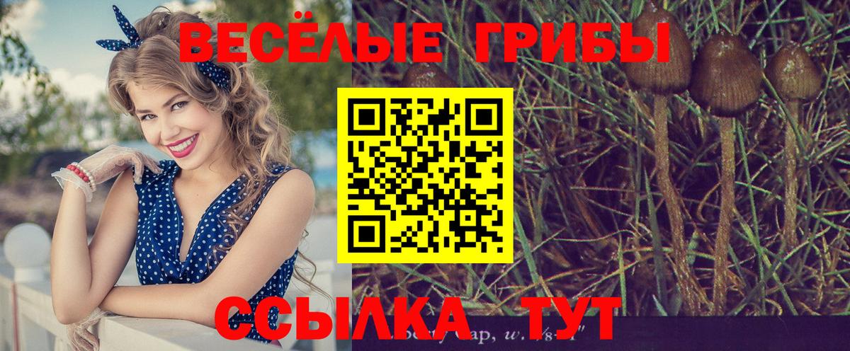 Галлюциногенные грибы Psilocybine cubensis  Вход с VPN  Электросталь  Галлюциногенные грибы Cubensis 